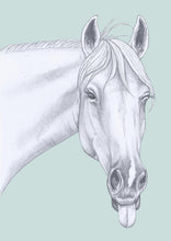 Load image into Gallery viewer, Horsing around
