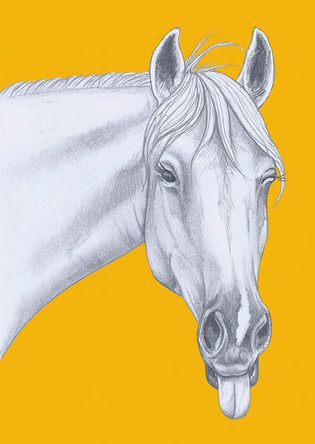 horse