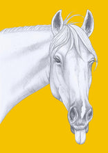 Load image into Gallery viewer, Horsing around
