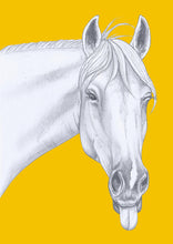 Load image into Gallery viewer, horse
