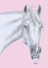 Load image into Gallery viewer, horse
