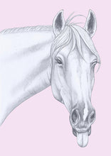 Load image into Gallery viewer, Horsing around
