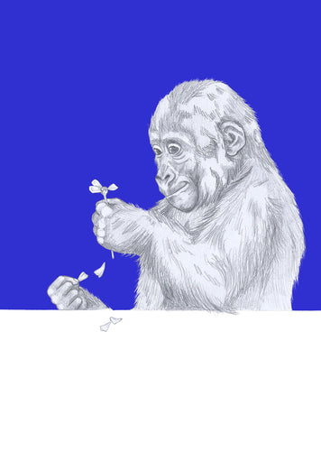 gorilla with flower