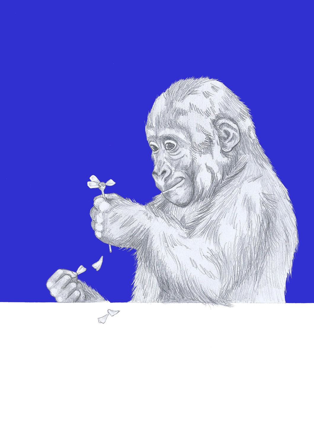 gorilla with flower