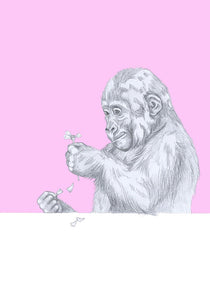 gorilla with flower