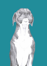 Load image into Gallery viewer, american staffordshire terrier
