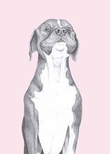 Load image into Gallery viewer, american staffordshire terrier

