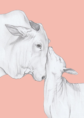 cow parent and baby