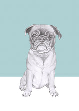 Load image into Gallery viewer, pug
