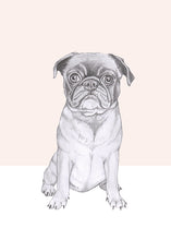 Load image into Gallery viewer, pug

