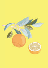 Load image into Gallery viewer, orange
