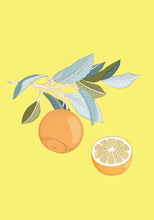Load image into Gallery viewer, Fruity Ten
