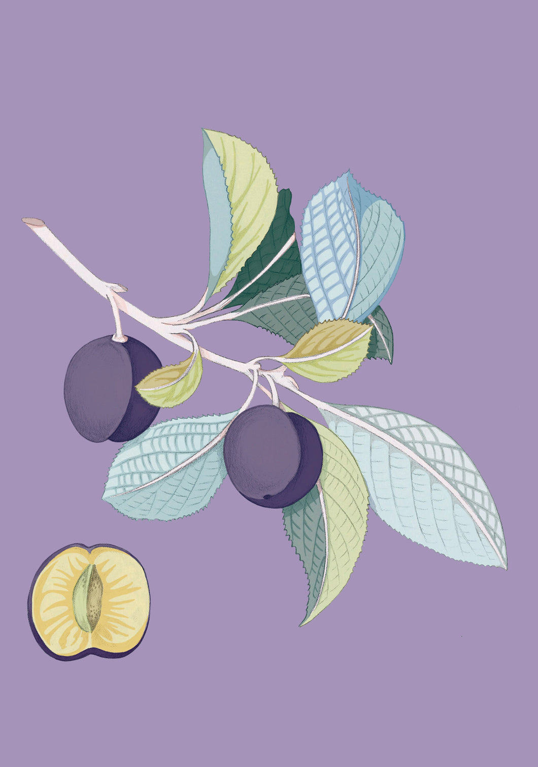 plum