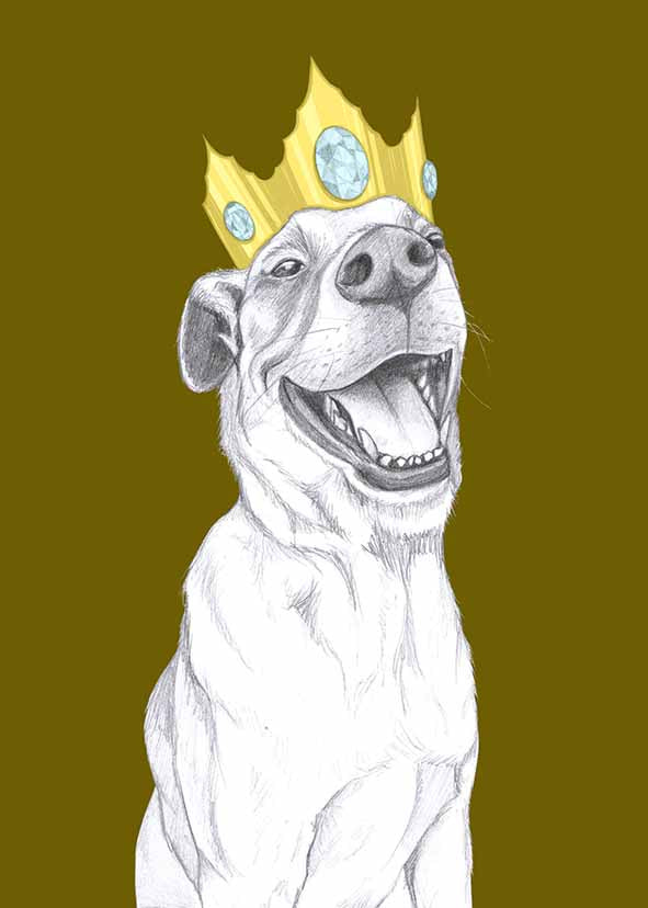 queen dog
