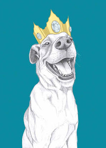 queen dog