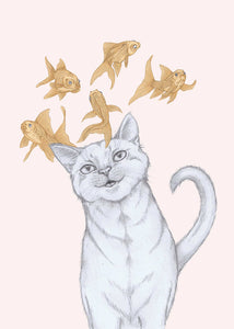 cat with flying fishes