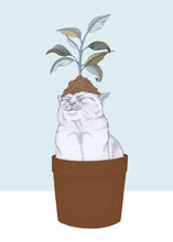 Load image into Gallery viewer, cat plant
