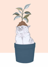 Load image into Gallery viewer, cat plant
