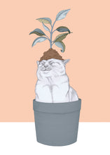 Load image into Gallery viewer, cat plant
