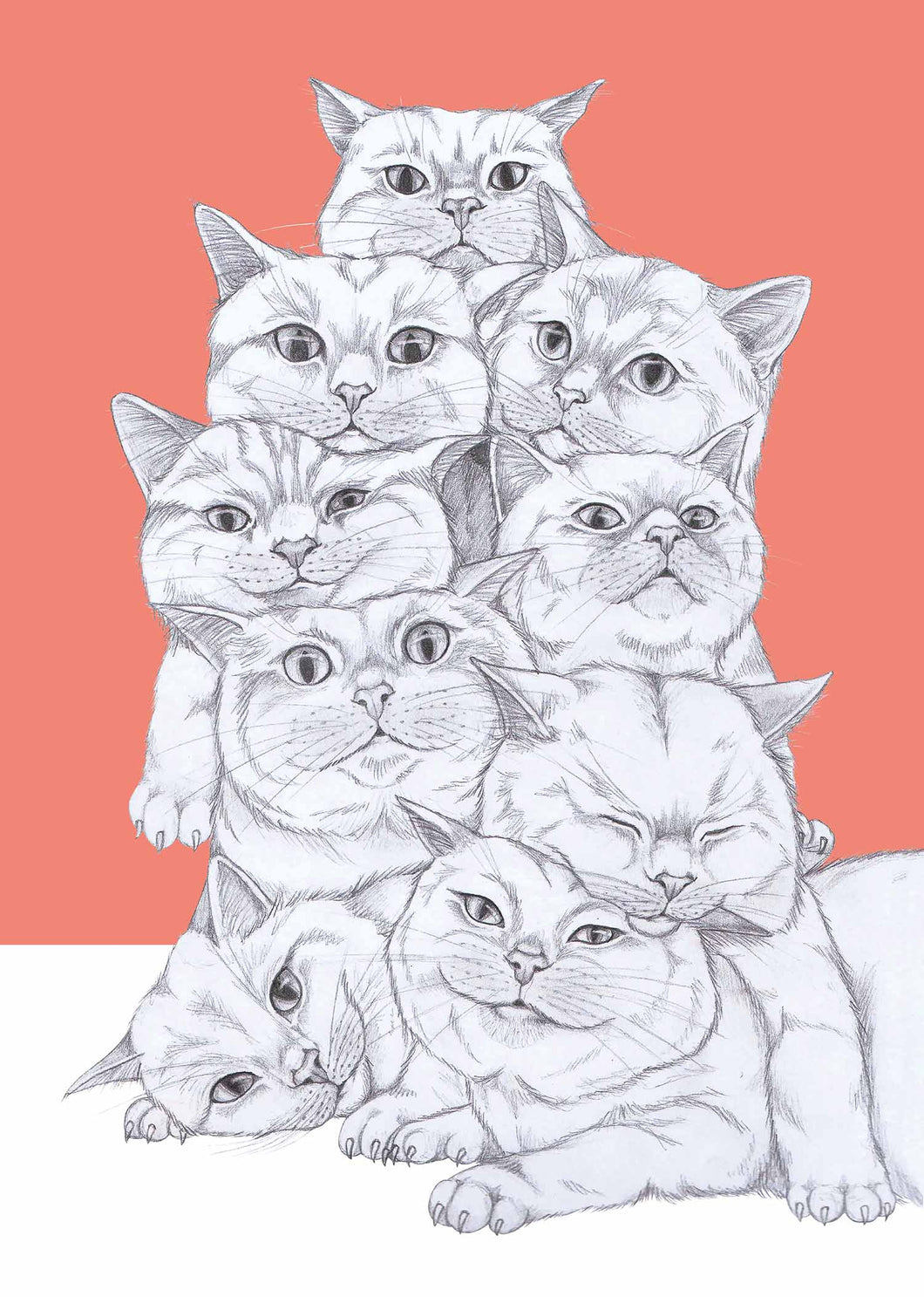 cat pile