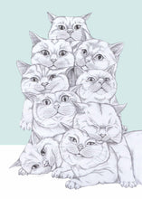 Load image into Gallery viewer, Cat Pile
