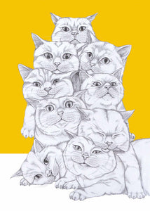 cat pile