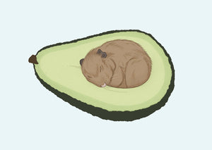 sleepy hamster in avocado