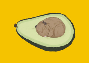 sleepy hamster in avocado