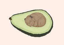 Load image into Gallery viewer, sleepy hamster in avocado
