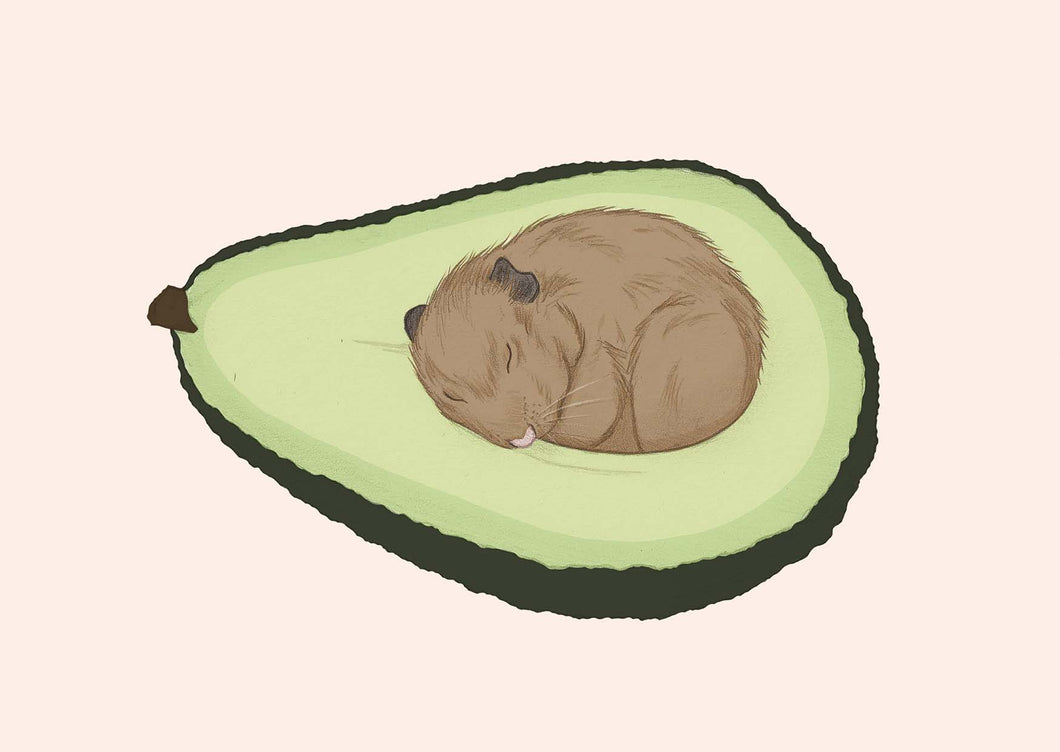 sleepy hamster in avocado