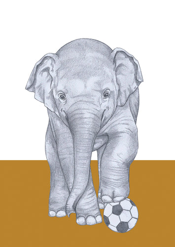 soccer elephant