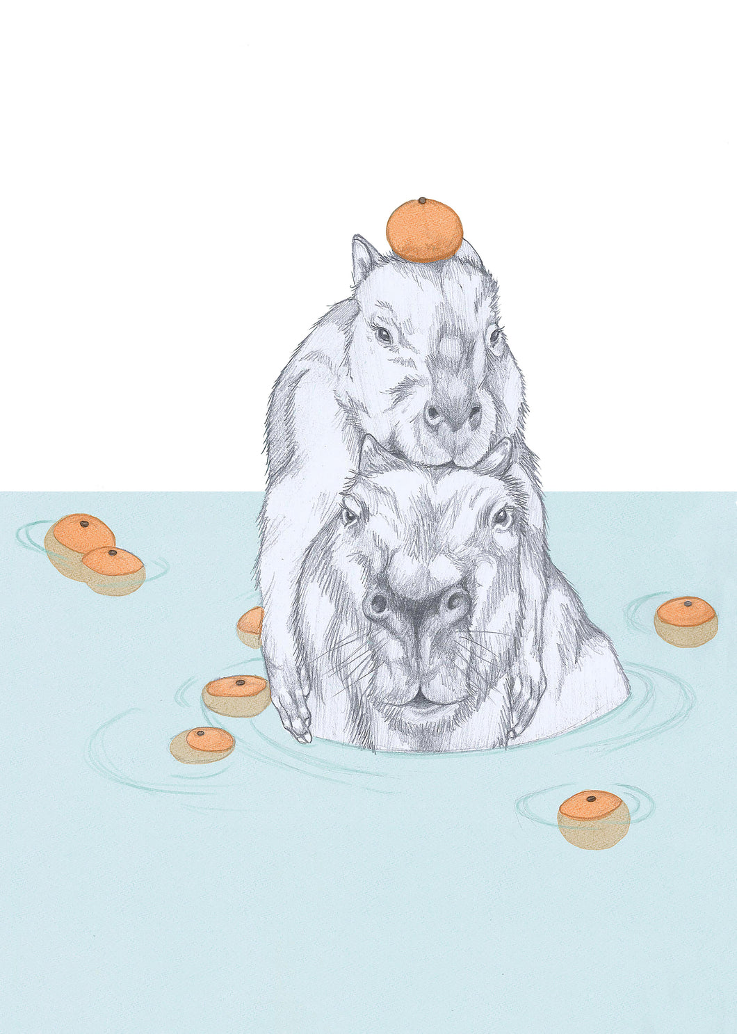 tangerine bath capibaras